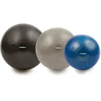 Toorx Gimnast. kamuolys 65cm PRO AHF-148
