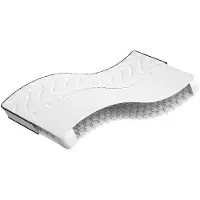 vidaXL Matratze Bonnell-Federkern Mittel 100x200 cm