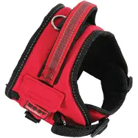Zolux Gürtel MOOV COMFORT verstellbar M