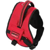 Zolux Hundegeschirr MOOV - rot - XL