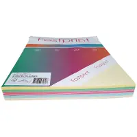 Fastprint 5 Pastelle 250 Blatt A4 80 Gramm 129229