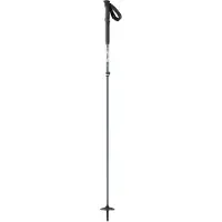 SCOTT Herren Alpin-Skistock SCO Pole Proguide C SRS