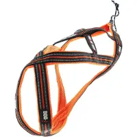 IDog Harnais Canicross Klettergurt