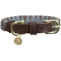 Kentucky Dogwear Triangle Hundehalsband