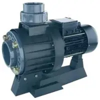 AstralPool 11509 Cciv 450t Pumpe Für Doppelmodell