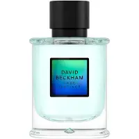 David Beckham True Instinct Eau de Parfum 75ml