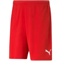 Puma teamRISE Short Herren M