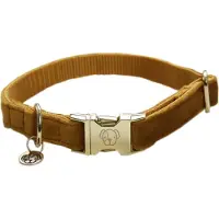 Kentucky Velvet Hundehalsband