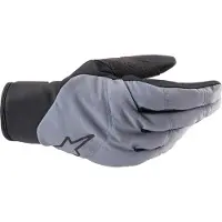 Alpinestars Denali 2 Handschuhe