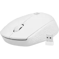 Natec STORK Maus Home Beidhändig RF Drahtlos + USB Typ-A Optisch 1600 DPI