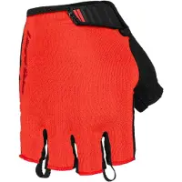 Lizardskins Kurze Handschuhe Aramus Apex | Größe M
