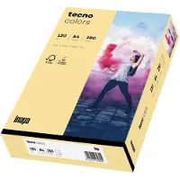 Inapa Kopierpapier colors chamois DIN A4 120 g/qm 250 Blatt