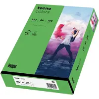 Inapa Kopierpapier colors intensivgrün DIN A4 120 g/qm 250 Blatt