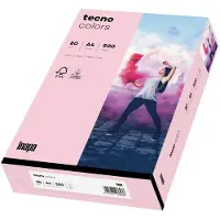 Inapa Multifunktionspapier colors, A4, 80 g/qm, hellrosa blanko, für Inkjet-, Laserdrucker, Kopierer