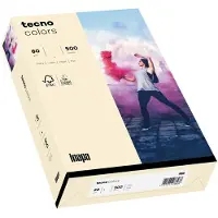 Inapa Kopierpapier colors hellchamois DIN A3 80 g/qm 500 Blatt