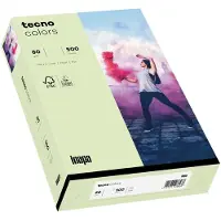 Inapa Kopierpapier colors hellgrün DIN A3 80 g/qm 500 Blatt