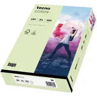 Inapa Kopierpapier colors hellgrün DIN A4 120 g/qm 250 Blatt