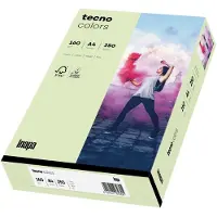 Inapa Kopierpapier colors hellgrün DIN A4 160 g/qm 250 Blatt