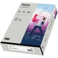 Inapa Multifunktionspapier colors, A4, 80 g/qm, grau blanko, für Inkjet-, Laserdrucker, Kopierer