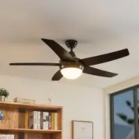 LINDBY Deckenventilator mit Licht Auraya, leise, schwarz Auraya, schwarz, für Wohn- / Esszimmer, Metall, Modern