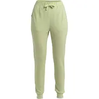 Icebreaker Women's Crush II Pants