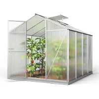 GFP 192 x 256 cm Gewächshaus, inkl. Aktionsset - XL | 8 mm - (GFPV00018)