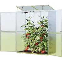 GFP 147 x 73 cm Tomatenhaus - (GFPV00621)