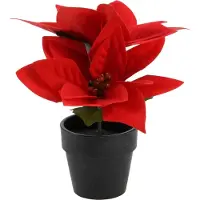 Home Styling Collection Home&Styling Collection Weihnachtsstern in rot | Gr.: onesize