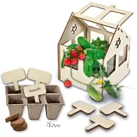 SES Creative Gewächshaus Mini