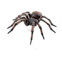 Papo Spinne - L: 6 cm - - One Size - Spielzeugtiere