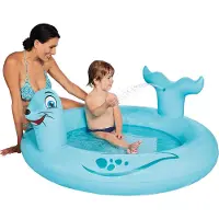 Wehncke Pool Seelöwe