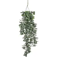 Mica Decorations Mica künstlicher Crassula Hängend grün 79 cm GLO660754910