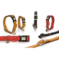 Beeztees BZ HALSBAND MACL ROT 25X45-70