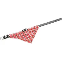 Beeztees Bz Lederhalsband+Tuch Schwarz