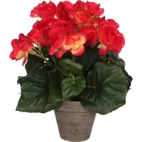 Mica Decorations Mica Begonia im Topf dunkelrosa, 25 x 20 cm GLO660754626