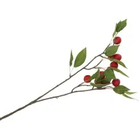 DK Design Dekozweig "Apple Plum" in Rot/ Grün - (H)76 cm - onesize