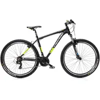 Capriolo Mountainbike LEVEL 9.1, 29"/21" schwarz-grün