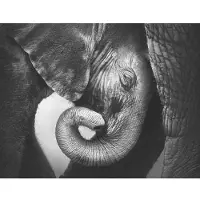 Living Walls Fototapete "Elefanten Familie" Motiv abstrakt naturalistisch glatt Tier Tapete Elefant Tapeten Wohnzimmer Schlafzimmer Flur Design Optik