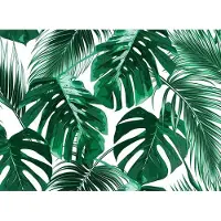 Living Walls Fototapete "Designwalls Palm Leaves 1" glatt Vlies, Wand, Schräge, Decke