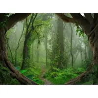 Living Walls Fototapete "Designwalls Tropical Forest" glatt Vlies, Wand, Schräge, Decke