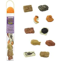 Safari Ltd Ancient Fossils TOOB, 3 Jahr(e), Ancient Fossils, Mehrfarbig