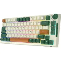 Royal Kludge Rkh81 Rgb Wireless Mechanical Keyboard, Sky Cyan Switch (Grün)