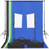 vidaXL Fotostudio-Set mit Beleuchtung und Hintergrund