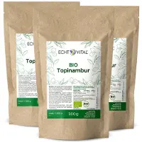 Echt Vital Bio Topinambur 3x300 g Pulver