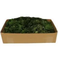 My Village Rentiermoos dunkelgrün 500g (groen)
