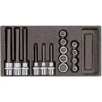 Gedore red R22150011 Schraubendrehereinsätze 1/2" 2/6 CT-Modul 15-teilig, 3301710