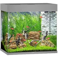 Juwel Lido 120 Aquarium LED Aquarium-Set grau