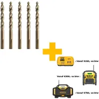 Dewalt Dt4946-qz Metallbohrer 11.0 Mm 5 Einheiten