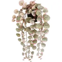 Mica Decorations Ceropegia Woodii Collar De Corazones Rosa Künstliche Pflanze