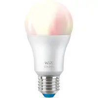 Wiz Tunable White & Color Standard